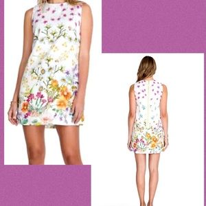 Johnny Was Floral Mini Dress - White, Pink, Orange, Green